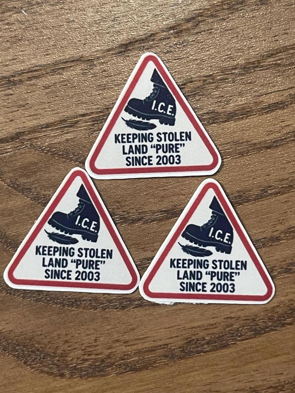 "I.C.E. Keeping Stolen Land 'Pure' Since 2003" Abolish ICE Triangle Sticker Radical