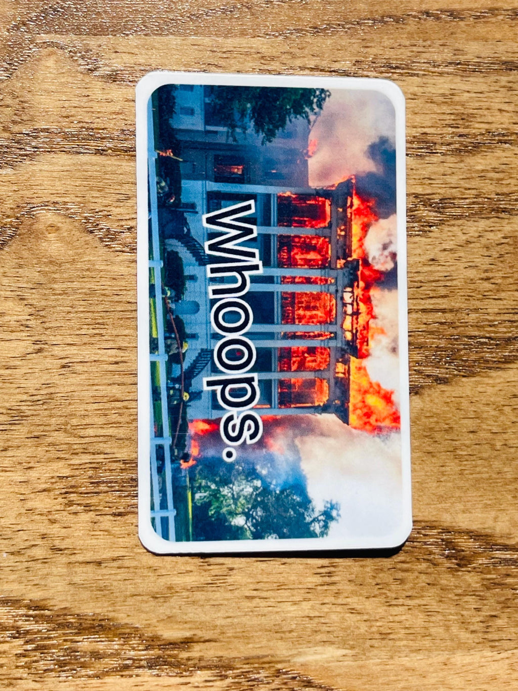 Plantation Fire Political Satire Sticker Nottoway in Flames