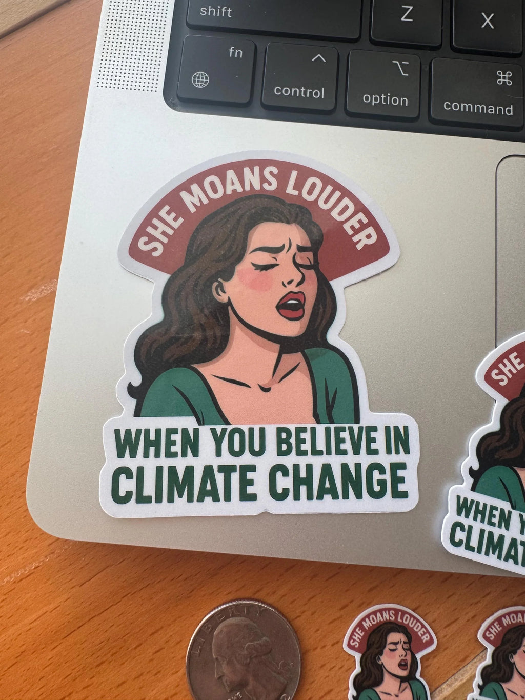 Meme Sticker - "She Moans Louder When You Believe in Climate Change" Environmental Humor Gift Under $10